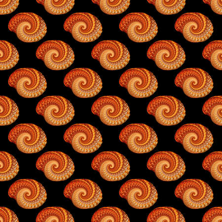 Sea shell twisted pattern on a dark background, isolated