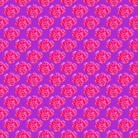 Pattern of geranium flowers on a purple background