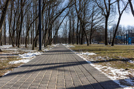 Spring melting snow in the park near the footpath and treesの写真素材