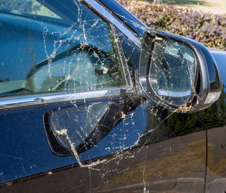 Abandoned dirty unused blue car side mirror covered with cobwebs in summerの写真素材