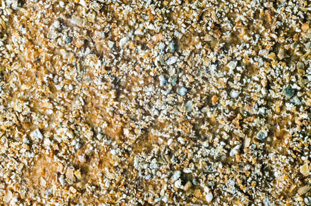 Bread chips with sesame, coriander, pumpkin, sunflower seeds texture background