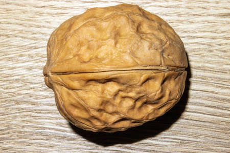 One unshelled walnut on the surface of an ash tableの写真素材
