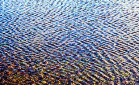 water surface with small waves in a flooded meadow on a sunny day in spring, blurred backgroundの写真素材