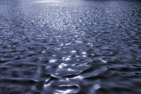 rippling of pond water waves with sun bunnies in the sun and wind