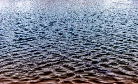 rippling of pond water waves in sunlight and wind