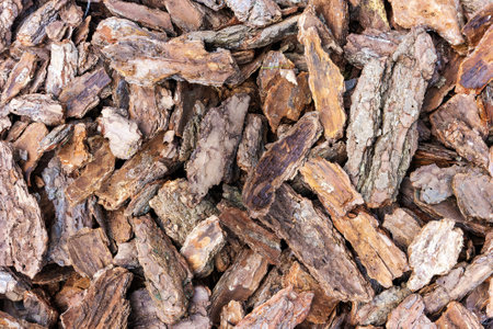 Pine wood chip bark chipping, texture background close up, top viewの写真素材