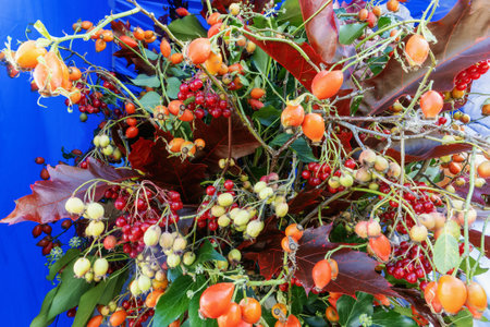 Autumn fruit and berry bouquet still life, food background close upの写真素材