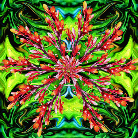 Blooming canna flowers are arranged in a circle on an abstract green backgroundの写真素材