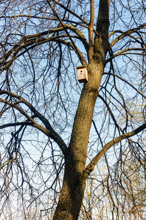 In early spring, a new handmade wooden house on a tree for starlings