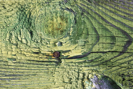 Old wooden board with branch and nail painted in green color close up as backgroundの写真素材