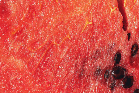 Abstract texture of watermelon pink with seeds and crack close upの写真素材