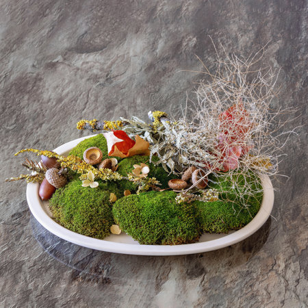The autumn composition showcases lush green moss, a variety of oak acorns, and delicate botanicals, carefully arranged on a marble surface. This natural centerpiece highlights seasonal beauty.の写真素材