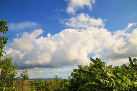 Frame with leaves on a background cloude sky,Cloudy sky with leaf frame/Frame of fresh green trees...