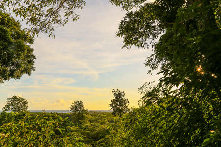 Frame with leaves on a background cloude sky,Cloudy sky with leaf frame/Frame of fresh green trees...