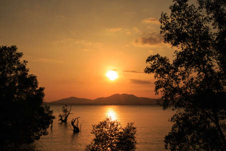 Silhouettes of tree in front of sunset on the beach/ Beautiful sunset on the beach with mountain and sky clouds/の写真素材