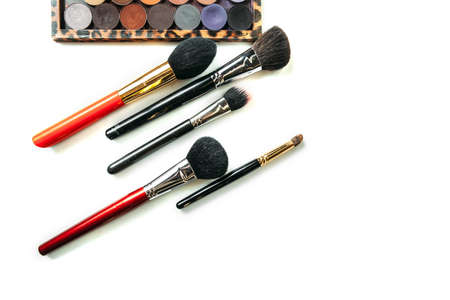 Makeup collection brushes and shadows isolated white background