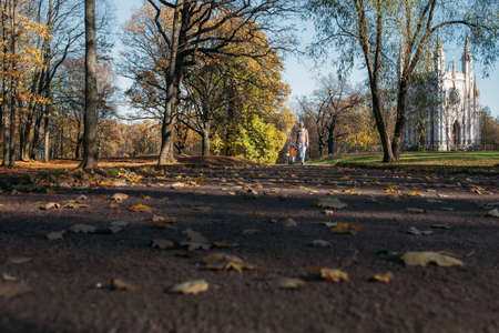 Mother and daughter walking holding hands at parkの写真素材