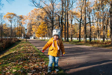 Baby girl walking smiling in the autumn parkの写真素材