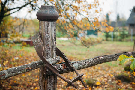 art rural landscape. field, planks and grassの写真素材