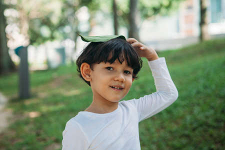 Young asian boy with green leave in autumn parkの写真素材