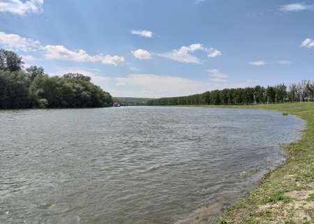 The shore of the gray river. Trees with green leaves. Blue sky with white clouds.