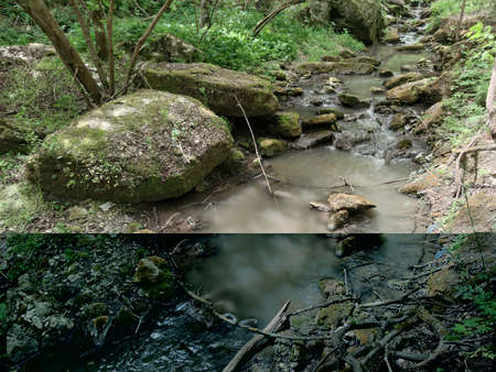 Stones with moss in a small stream in a green forest. Green plants and trees. Dry branches.