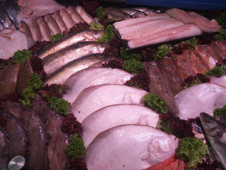 Different kinds of fresh fish close-up. Dutch seafood market
