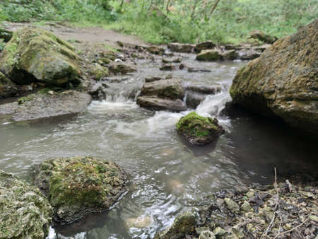 Forest stream among gray stones. On the stones are yellow and green moss and lichens. Around plants and trees with green leaves. Sugar Moldovaの写真素材