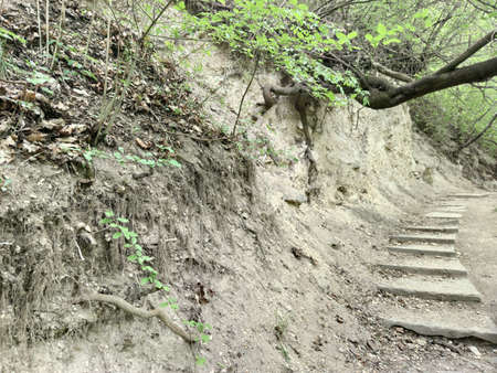 Stone steps near a gray earthen placer. Plants with green leaves.Saharna. Moldova.の写真素材