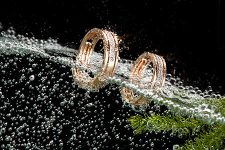 Two engagement golden rings in the ater with air bubblesの写真素材