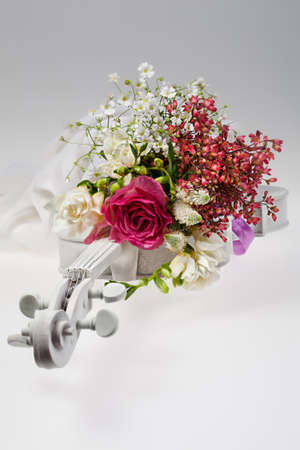 Still life with flowers on a studio backgroundの写真素材
