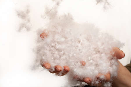 Woman's hands full of goose down on a studio backgroundの写真素材