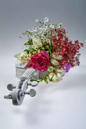 Bouquet of flowers and violin on a studio backgroundの写真素材