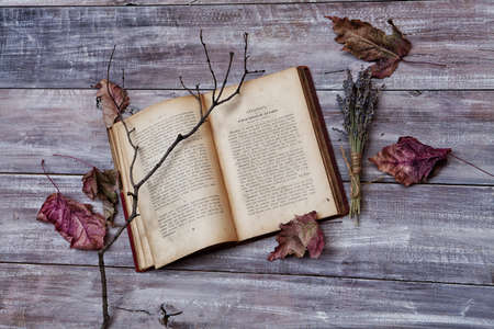 Old book and branch on an old wooden deskの写真素材