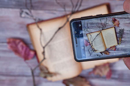 Old book and branch on an old wooden deskの写真素材
