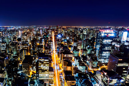 Night big city with street lighting, buildingsの素材
