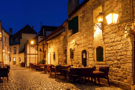 Street of an old small town, stone walls, paved streetの素材