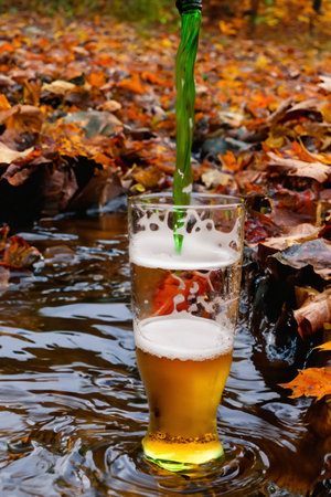 Glass of beer with foam, bubbles and dropsの素材