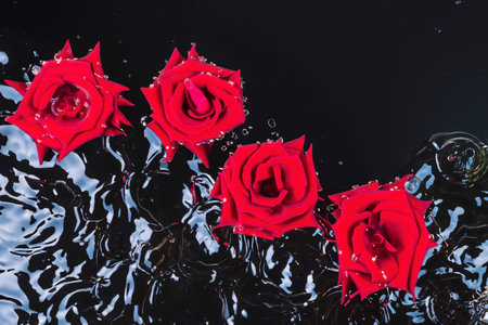 Roses falling into the water with splashes and bubblesの素材