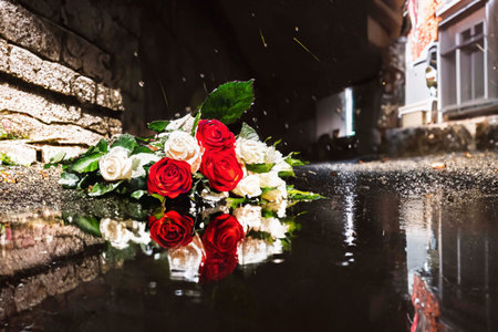 Roses lying on the paved old street in the puddle after the rainの素材