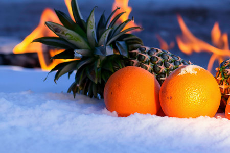 Different fruits on the snow near the fireの素材