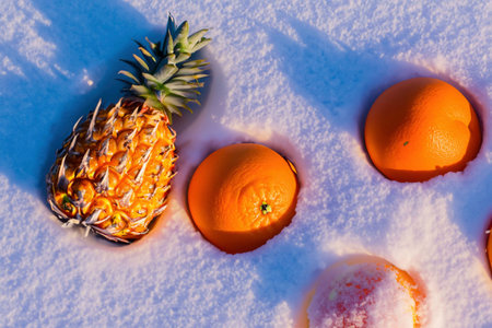 Different fruits on the snow near the fireの素材