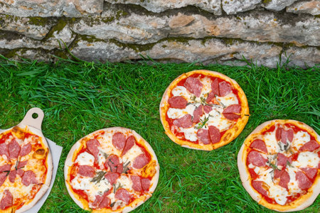 Pizza with ham, cheese and tomatoes on the green grass lawnの素材