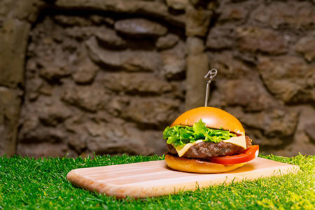 Burger with ham and greenery on a green grassの素材