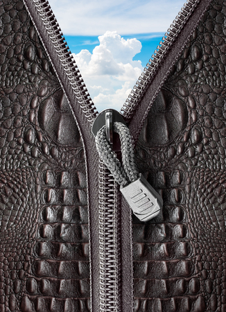Crocodile leather and open zipper to the skyの写真素材