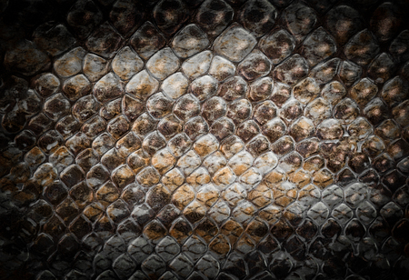 Pattern of the snake skin texture 