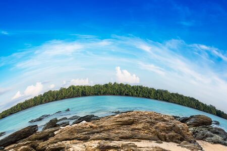 Beautiful blue sky and tropical mangrove forest with stone at coast
