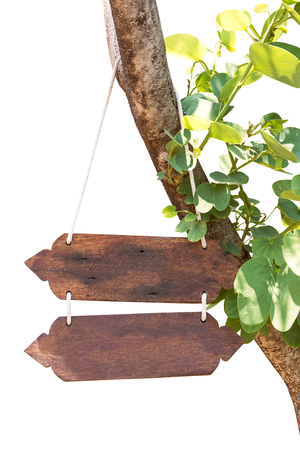 Hanging wooden signboard hold on tree trunk isolated on white background with clipping pathの写真素材