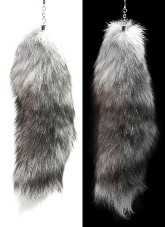 Rear end of an animal fur isolated on black and white backgroundの写真素材