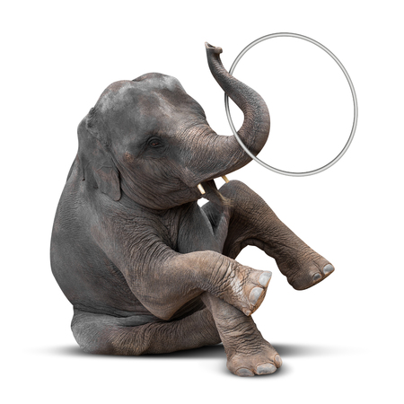 Cute baby elephant playing hulahoop isolated on white background